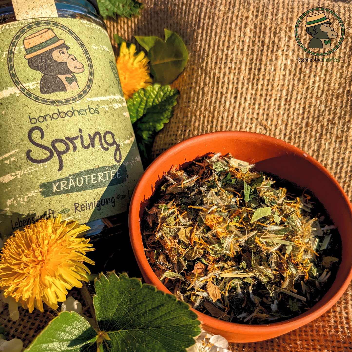 bonoboherbs-spring-detailansicht